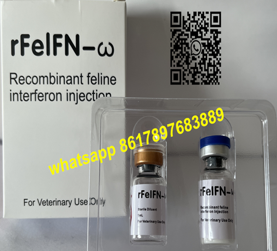 Recombinant Feline Interferon for Injection 2ml