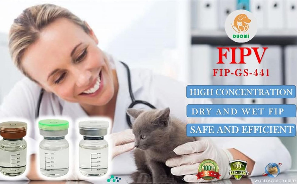 What Is Feline Infectious Peritonitis (FIP)?