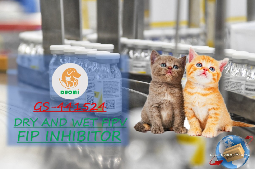 Can FIP be treated?