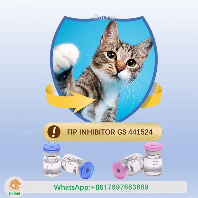 what are the symptoms of FIP?